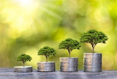 Wealth & Prosperity